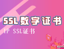 ip地址申请SSL证书——教学